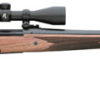 Remington 700 CDL Bolt Action Rifle 84076, 270 Winchester, 24 in, American Walnut Stock, Blue Finish, 4 Rd